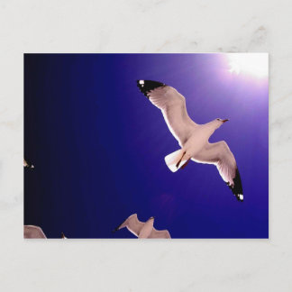 Himmel öffnet postkarte