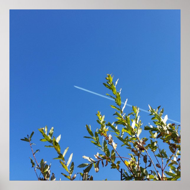 Himmel Poster (Vorne)