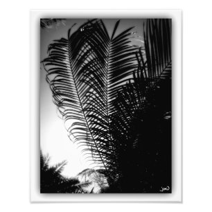 Himmel-Schaber Fotodruck