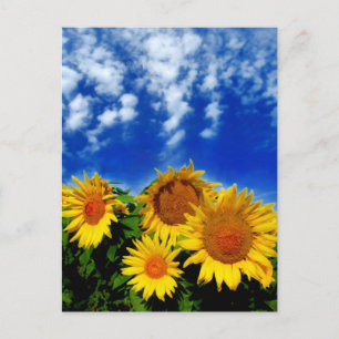 Himmel und Blut Postkarte