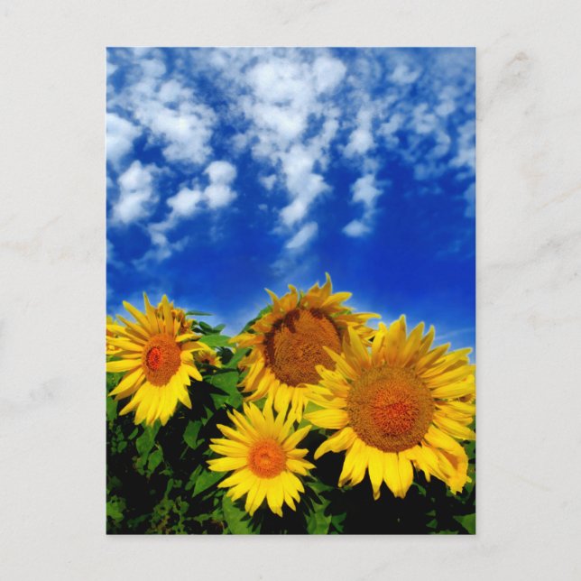 Himmel und Blut Postkarte (Vorderseite)