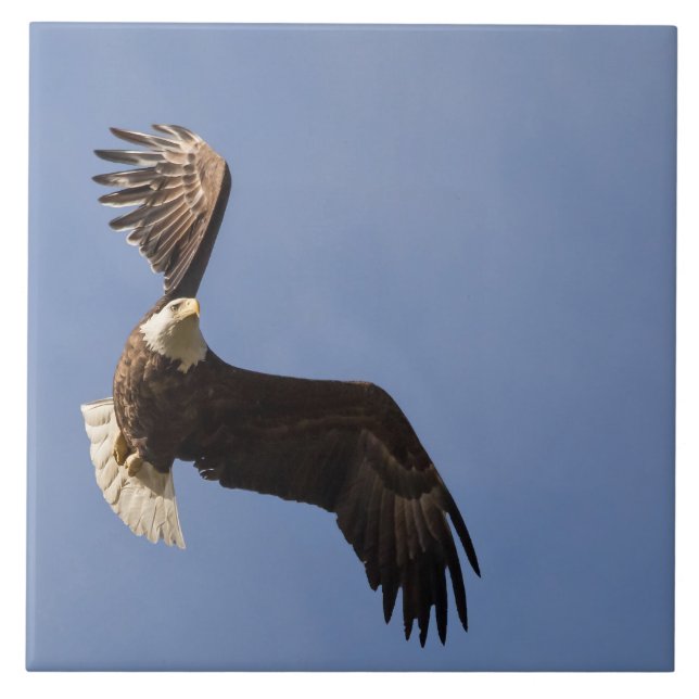 Himmelfahrt Fliese (Vorderseite)