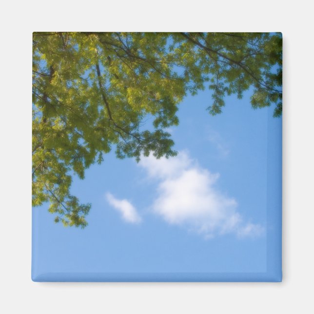 Himmelsansicht mit Baumspitze Magnet (Vorne)