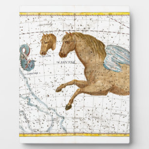 Himmelskarte Pegasus Fotoplatte