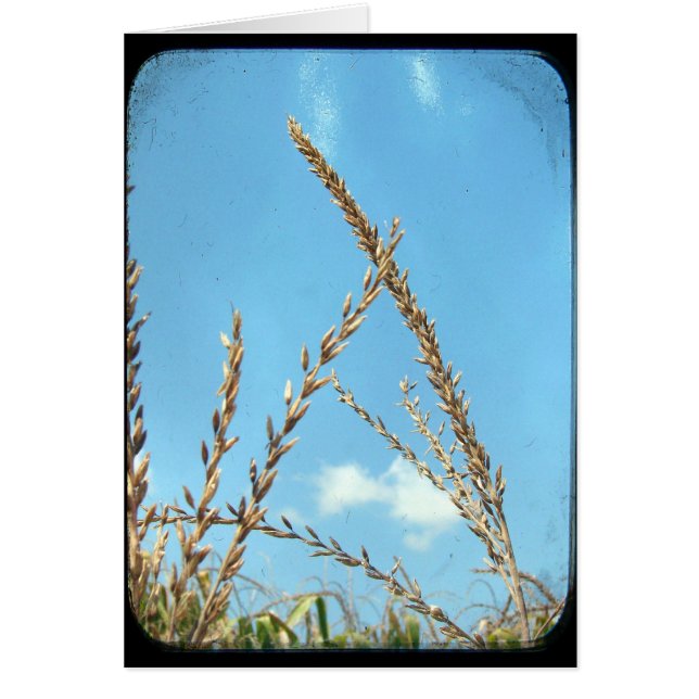 Himmelskörper (Vorne)