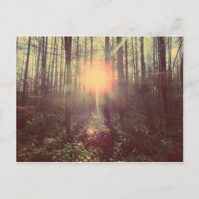 Himmelslicht Postkarte (Vorderseite)