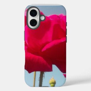 Himmelsrose Schöne rote Blüte gegen Blau iPhone 16 Hülle