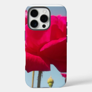 Himmelsrose Schöne rote Blüte gegen Blau iPhone 16 Pro Hülle
