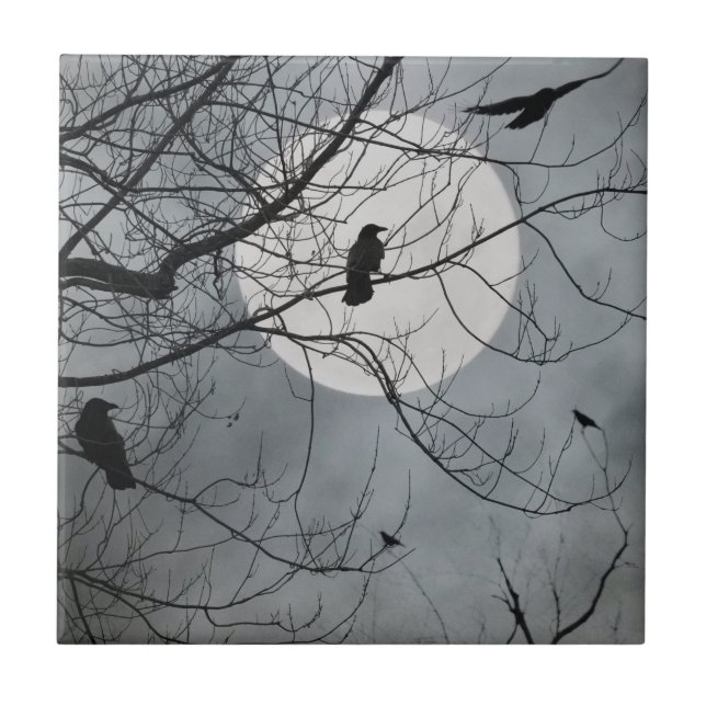 Himmelsvögel Keramik Tile Fliese (Vorderseite)