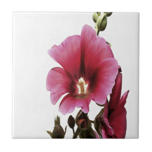 Himmlisch Pink Hollyhock Malva Blume Floral Fliese