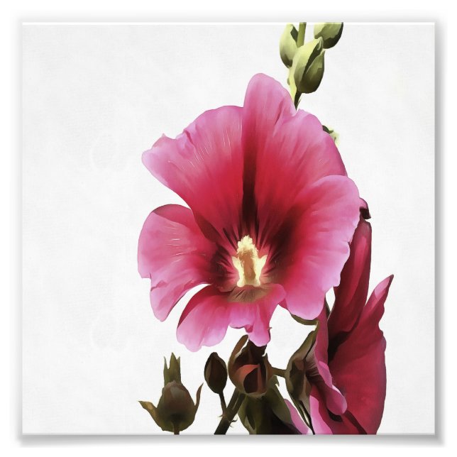 Himmlisch Pink Hollyhock Malva Blume Floral Fotodruck (Vorne)