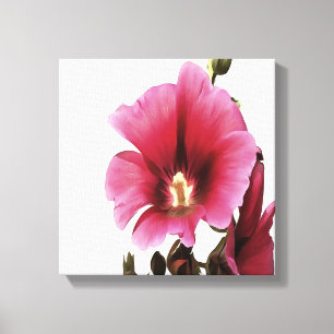 Himmlisch Pink Hollyhock Malva Blume Floral Leinwanddruck