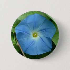Himmlische blaue Winde Button