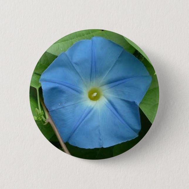 Himmlische blaue Winde Button (Vorderseite)