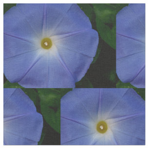 Himmlische blaue Winde Stoff