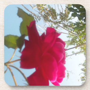 Himmlische Blüte: Eine Rose gegen den Himmel Untersetzer