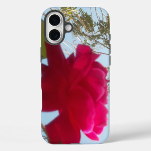 Himmlische Blüte Eine rote Rose gegen den blauen iPhone 16 Plus Hülle