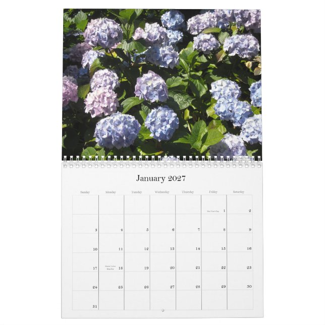 Himmlische Hortensien 2013 Kalender (Jan 2027)