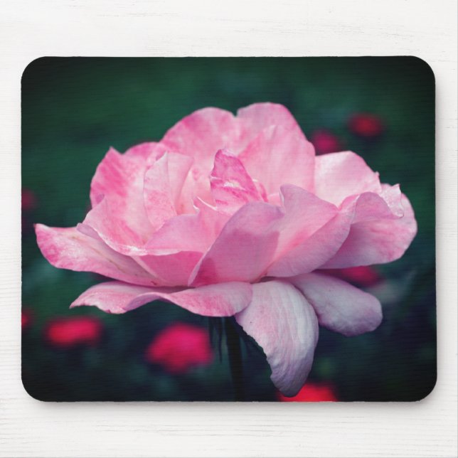 Himmlische Rosa-Blume Mousepad (Vorne)