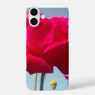 Himmlische Rose   Schöne rote Blüte gegen Blau iPhone 16 Plus Hülle