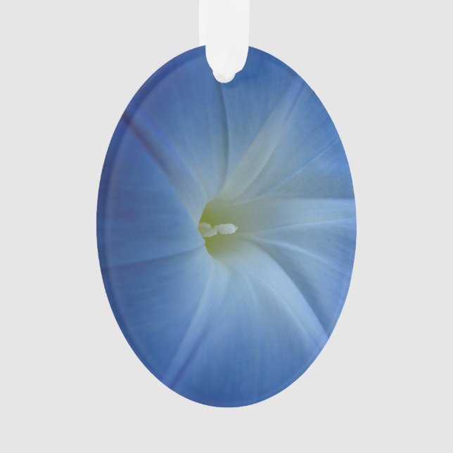 Himmlischer Blue Morning Glory Nah-Up Ornament (Vorderseite)