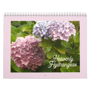 Himmlischer Hydrangeas-Kalender Kalender