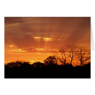 "himmlischer Sonnenuntergang" von Larry Coressel