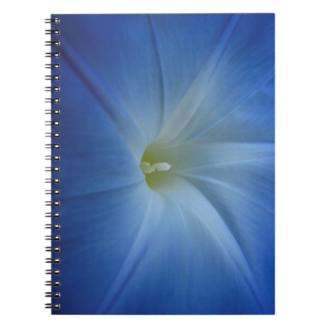 Himmlisches Blue Morning Glory Blume Foto Notizblock (Vorderseite)
