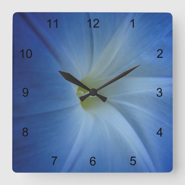 Himmlisches Blue Morning Glory Blume Foto Quadratische Wanduhr (Vorderseite)