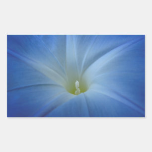 Himmlisches Blue Morning Glory Nah-Up-Foto Rechteckiger Aufkleber