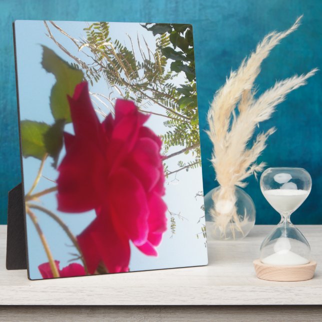 Himmlisches Blut: Eine Rose gegen den Himmel Fotoplatte (Seite)