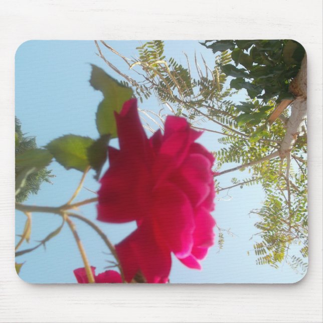 Himmlisches Blut: Eine Rose gegen den Himmel Mousepad (Vorne)