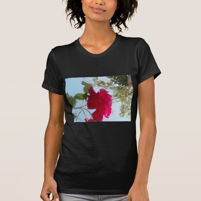 Himmlisches Blut: Eine Rose gegen den Himmel T-Shirt (Vorderseite)