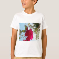 Himmlisches Blut: Eine Rose gegen den Himmel