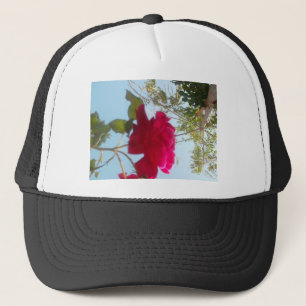 Himmlisches Blut: Eine Rose gegen den Himmel Truckerkappe