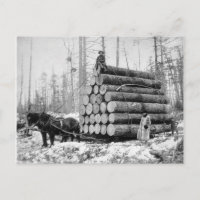 Hin- und Herschleppen von Logs, 1908