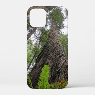 Hin zu Himmel über Redwoods wirbelnde Rinde Case-Mate iPhone Hülle