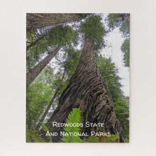 Hin zu Himmel über Redwoods wirbelnde Rinde Puzzle