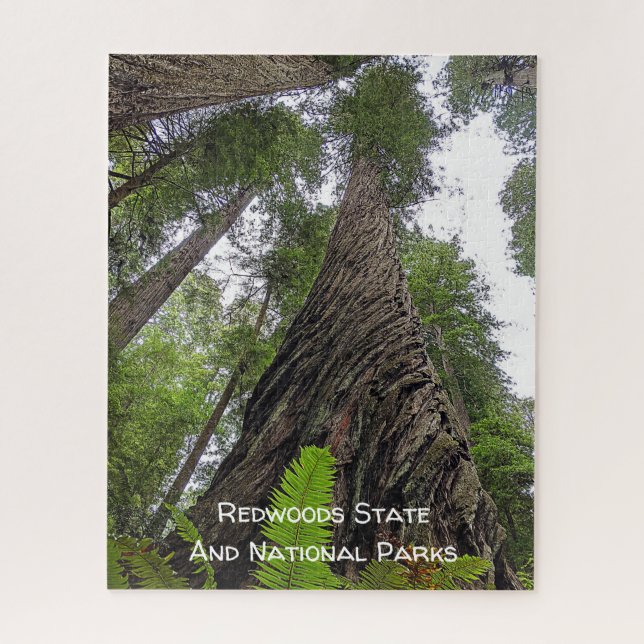 Hin zu Himmel über Redwoods wirbelnde Rinde Puzzle (Vertikal)