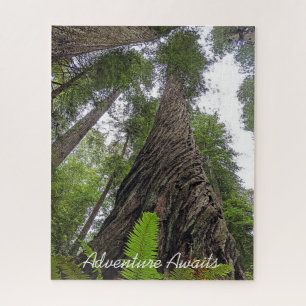 Hin zu Himmel über Redwoods wirbelnde Rinde Puzzle