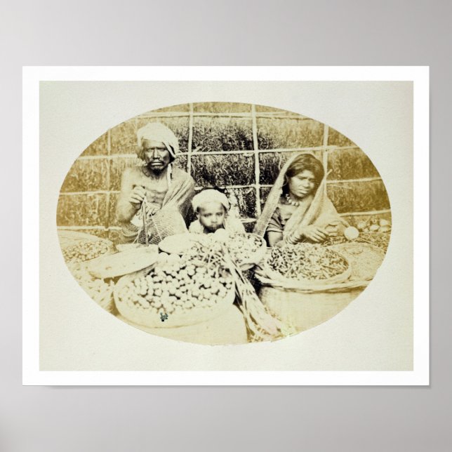 Hindu Obst- und Gemüseverkäufer in Madras, 19. Poster (Vorne)