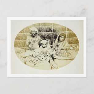 Hindu Obst- und Gemüseverkäufer in Madras, 19. Postkarte