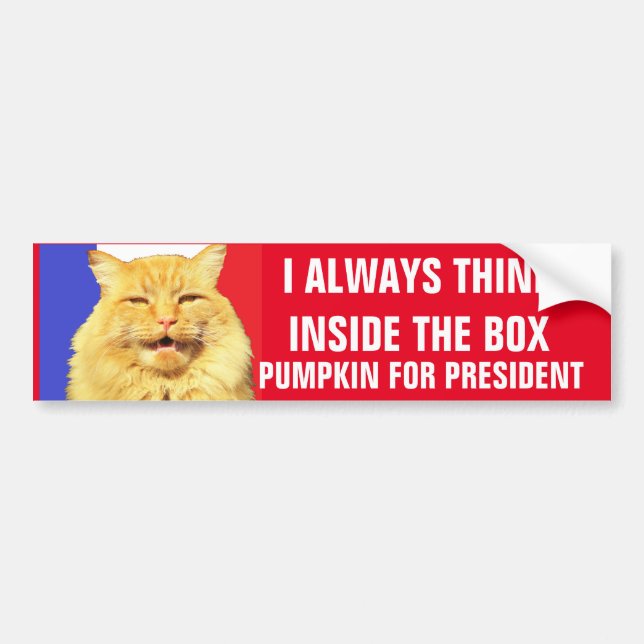 HINK NSIDEer bOX Pumpkin für Präsident Autoaufkleber (Vorne)