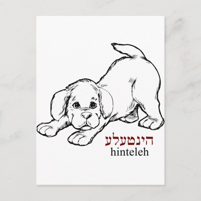 "Hinteleh"-Welpe Postkarte (Vorderseite)