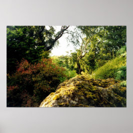 Hinter Blarney Poster