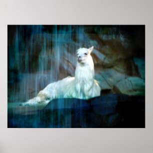 Hinter dem Fall Poster