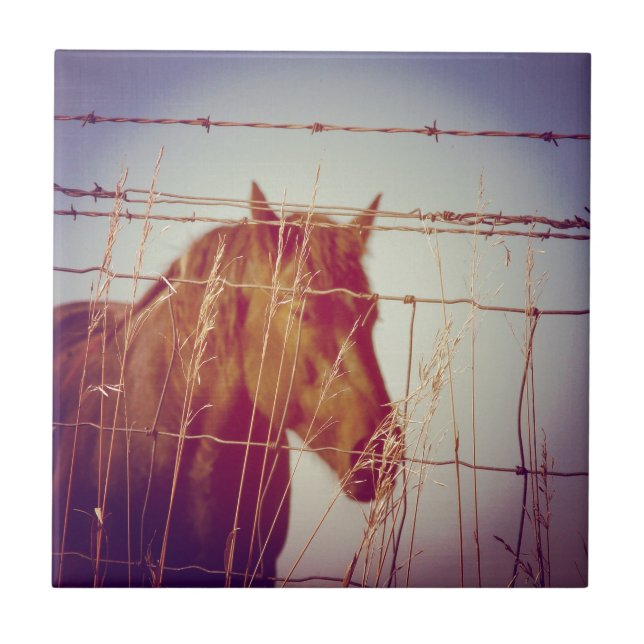 Hinter dem Zaun Abstrakt Fliese (Vorderseite)