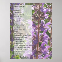 hinter den Augen der Lupine