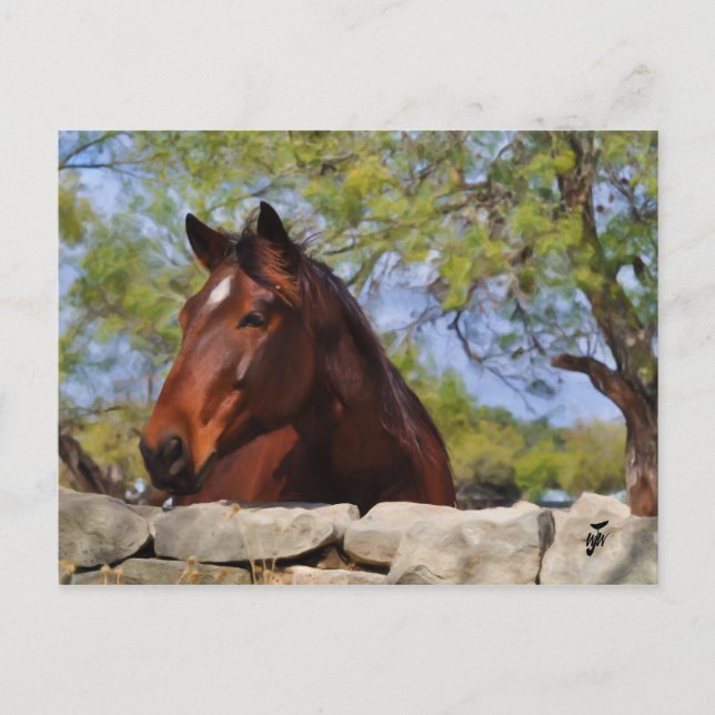 Hinter der Mauer Postkarte (Vorderseite)