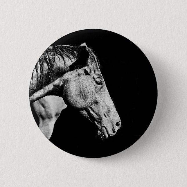 Hinterbein Button (Vorderseite)